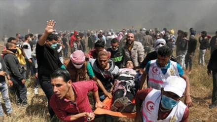 Onlarla fələstinli yaralanıb