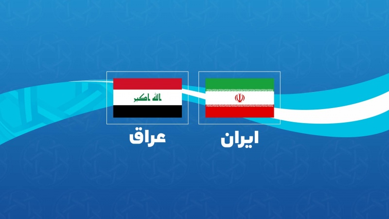 دواسازی کے شعبے میں ایرانی تعاون کے خواہاں ہیں: عراق