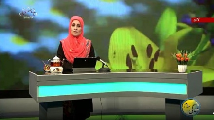 سماجی پروگرام ۔ زندگی سلام