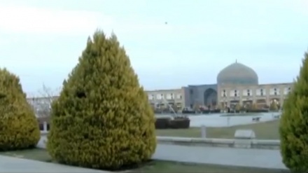 تامی بەهار - 02-04-2020