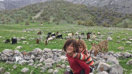 سرووشتی جوانی وەرزی بەهار لە ئێران