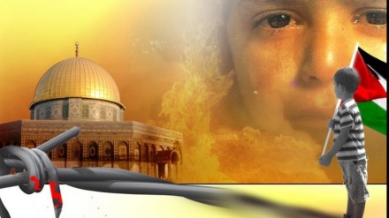 درندوں اور خونخواروں کا اسیر، فلسطین ۔ ویڈیو