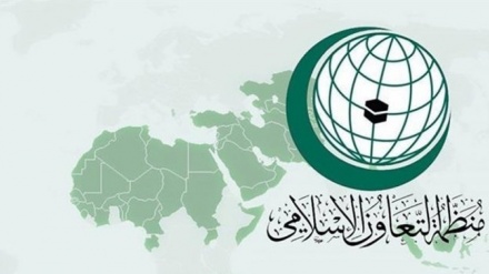 صہیونی حکومت کو او آئی سی اور حماس کا سخت انتباہ 