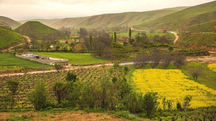  سوچێک لە بەھەشتی خوڕاسانی باکوور( مەڵبەندی ھەزار چەشمە) لە وەرزی بەھاردا