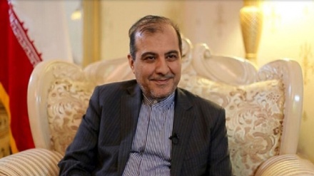 Yəmən Ensarullah sözçüsü İran xarici işlər nazirinin müavini ilə danışıb