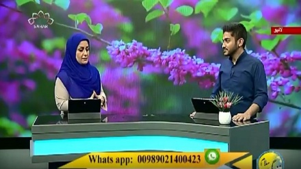 سماجی پروگرام ۔ زندگی سلام