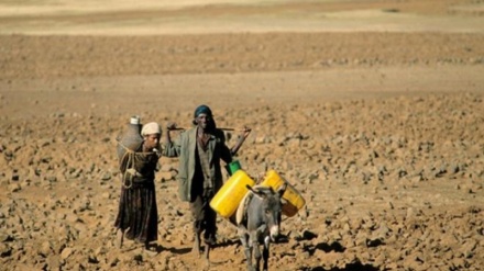 Pirsgirêka Efrîqayê ji Covîd-19 girantir e: Birçîbûn