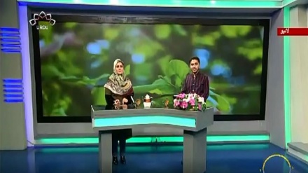 سماجی پروگرام ۔ زندگی سلام