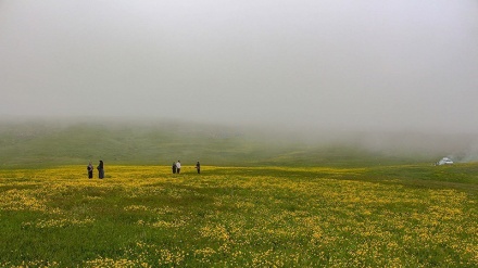 بەشێک لە بەڵگەفیلمی ئەرەسباران - 05-07-2020