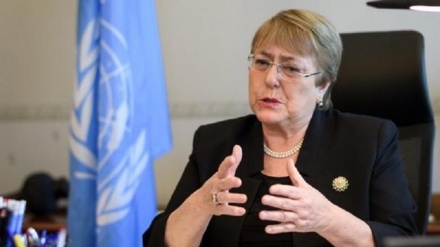 BMT-nin insan haqları üzrə baş komissarı ABŞ-dakı 