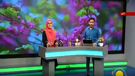 سماجی پروگرام ۔ زندگی سلام