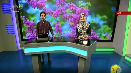 سماجی پروگرام ۔ زندگی سلام