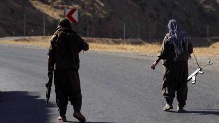 İraqda PKK terror təşkilatının daha 3 terrorçusu zərərsizləşdirildi