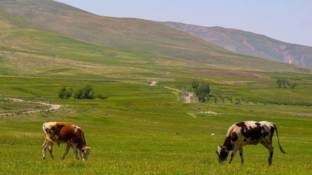بەشێک لە بەڵگەفیلمی ئەرەسباران  - 30-06-2020