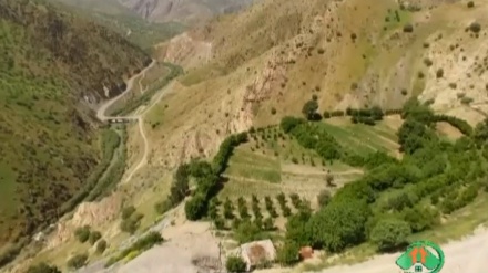 گۆرانیێکی خۆش  له بەرنامەی ساباتی سۆز - 15-06-2020