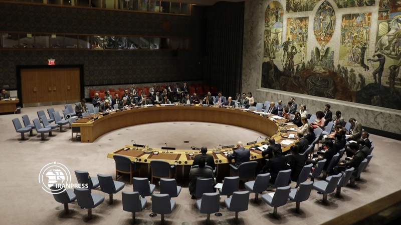 اقوام متحدہ کی سلامتی کونسل میں کورونا وائرس کے بحران میں جھڑپیں روکے جانے کی قرارداد پاس