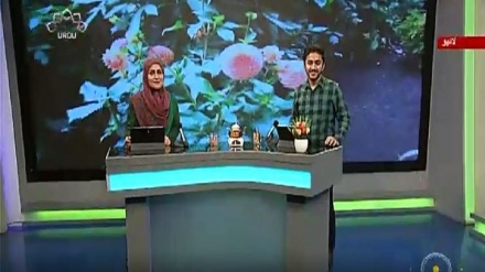 سماجی پروگرام ۔ زندگی سلام