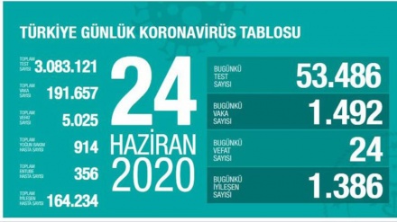 Türkiyədə koronavirusdan daha 24 nəfər ölüb