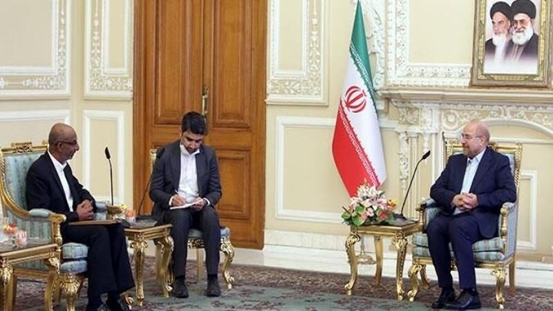 علاقائی و عالمی سطح پر ایران اور ہندوستان کے درمیان تعاون ہمیشہ موثر رہا ہے: قالیباف 
