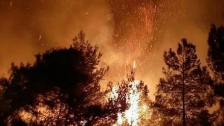  Hatay - 30 hektar daristana Çiyayên Amanosê tev şewitî