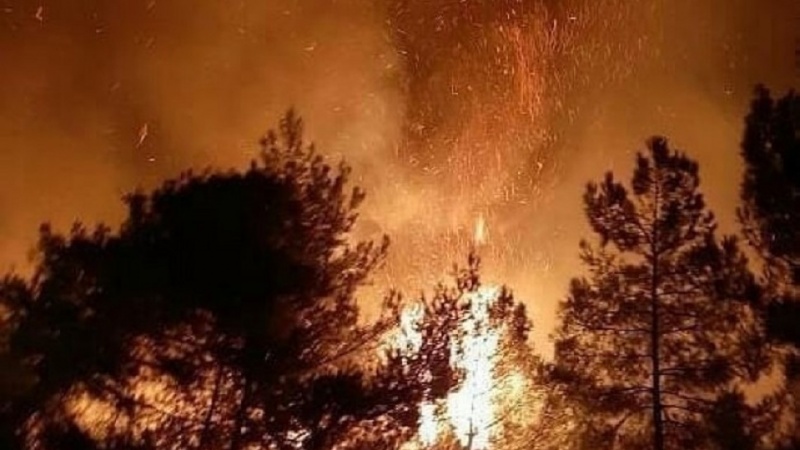  Hatay - 30 hektar daristana Çiyayên Amanosê tev şewitî