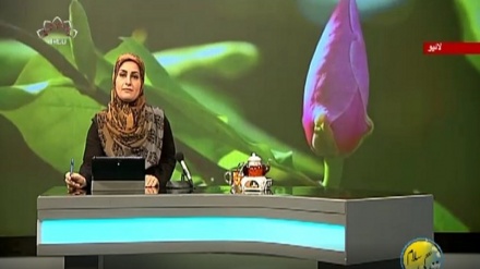 سماجی پروگرام ۔ زندگی سلام