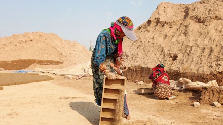 کڵپەی کورەکانی ئاجوڕ چێکردن لە ھاوینان دا