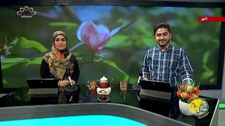 سماجی پروگرام ۔ زندگی سلام