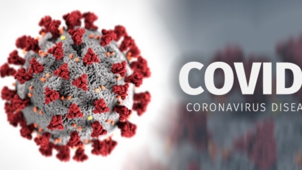 Ermənistanda koronavirusdan ölənlərin sayı 491 nəfərə çatıb