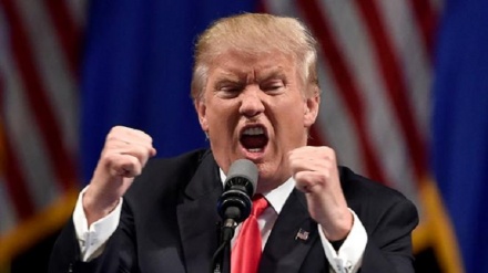 اقوام متحده کے خصوصی رپورٹر کی ٹرمپ پر تنقید