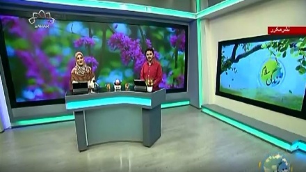 سماجی پروگرام ۔ زندگی سلام