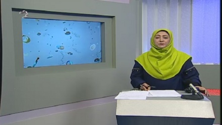 هەواڵه ئابوورییه‌کان - 18-07-2020