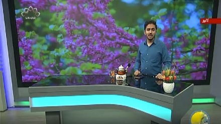 سماجی پروگرام ۔ زندگی سلام