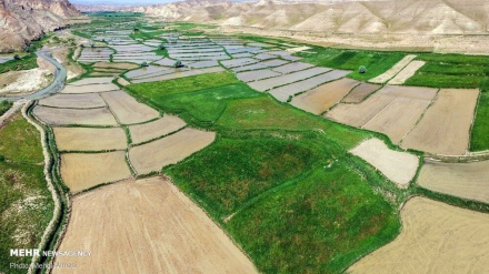 بەرهەمی باخەکانی زەنجان