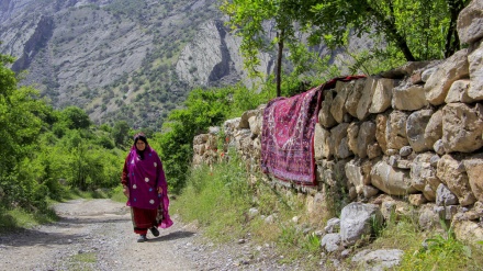 سروشتی بێ وێنەی ئەردەل و مەشایخ
