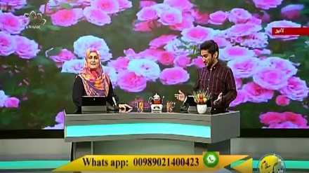 سماجی پروگرام ۔ زندگی سلام