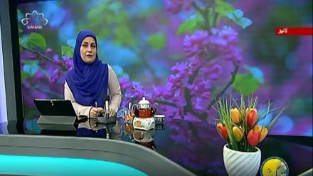 سماجی پروگرام ۔ زندگی سلام