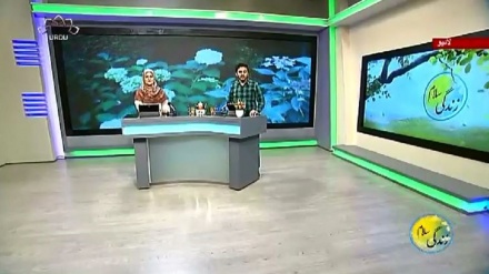 سماجی پروگرام ۔ زندگی سلام