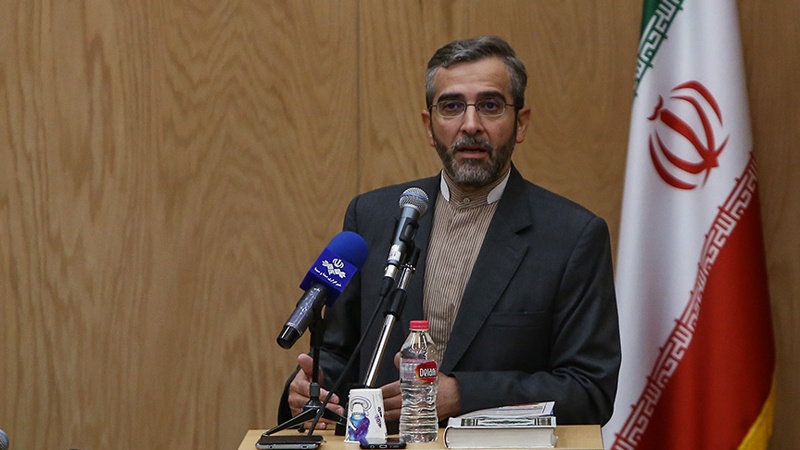 ایرانی طیارے کو ہراساں کرنا امریکی لاقانونیت کی کوئی پہلی مثال نہیں: باقری