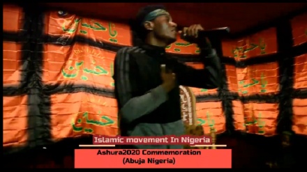 نائجیریا میں عزاداری سید الشہداء + ویڈیو