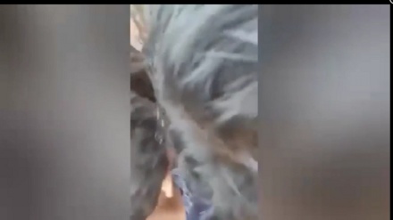 عرب اسرائیل دوستی، عالم اسلام میں غم و غصہ