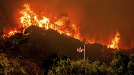 امریکہ میں آتشزدگی، 175 عمارتیں تباہ، 5 لاکھ ایکڑ رقبہ خاکستر