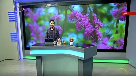 سماجی پروگرام ۔ زندگی سلام