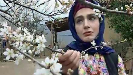 بەشێک  لە زنجیرە درامای دوای باران - بەشی 7