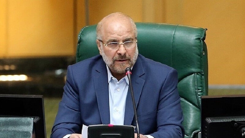 ایران دنیا کے اسمارٹ دہشتگردوں کے سامنے ڈٹا رہے گا: پارلیمنٹ اسپیکر