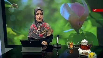 سماجی پروگرام ۔ زندگی سلام