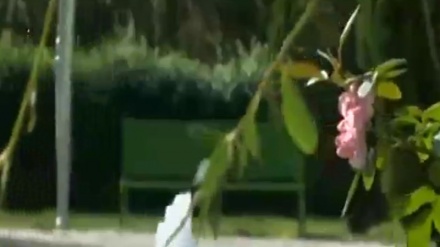 گۆرانیی خۆش لە بەرنامەی ڕۆژی نوێ