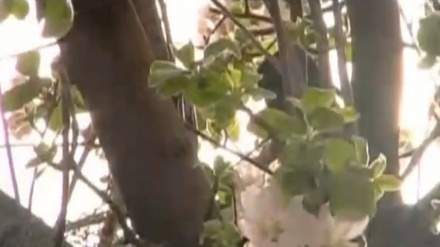گۆرانیەکی خۆش له بەرنامەی ڕۆژی نوێ