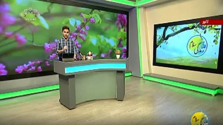 سماجی پروگرام ۔ زندگی سلام