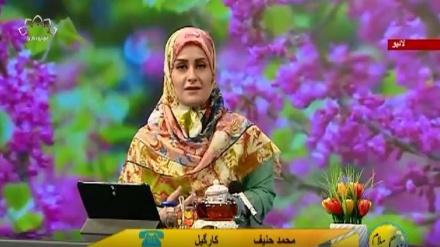 سماجی پروگرام ۔ زندگی سلام